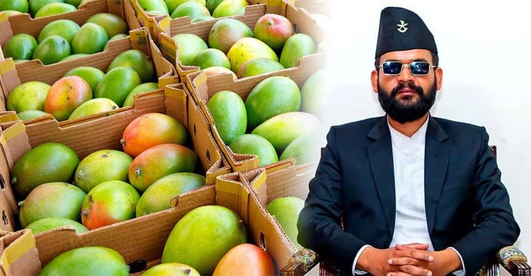 অতিরিক্ত মাত্রায় রাসায়নিক: ভারতীয় আমে নিষেধাজ্ঞা দিলো নেপালের সরকার